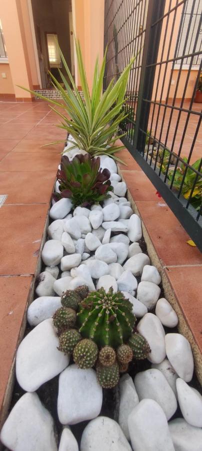 Villa Terreros San Juan de los Terreros 外观 照片